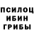 Псилоцибиновые грибы Psilocybine cubensis backwardz