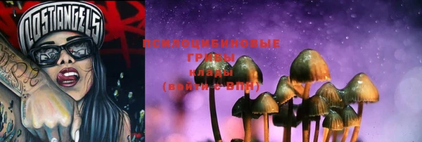твердый Богданович