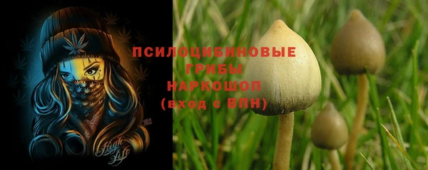 твердый Богданович