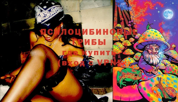 твердый Богданович