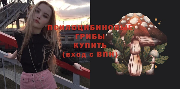 ALPHA-PVP Белокуриха